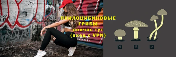 твердый Аркадак