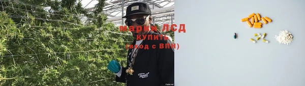 твердый Аркадак