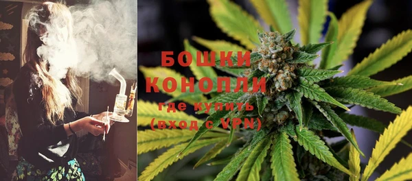твердый Аркадак