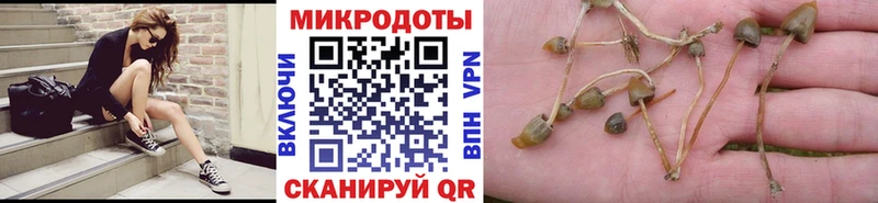 как найти наркотики  Соль-Илецк  Галлюциногенные грибы ЛСД 